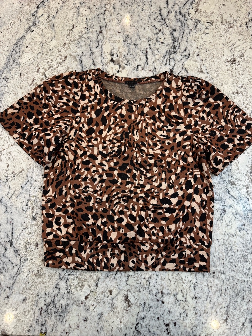 Ann Taylor Factory Leopard Print Short Sleeve Top Size Medium - Picture 4 of 9